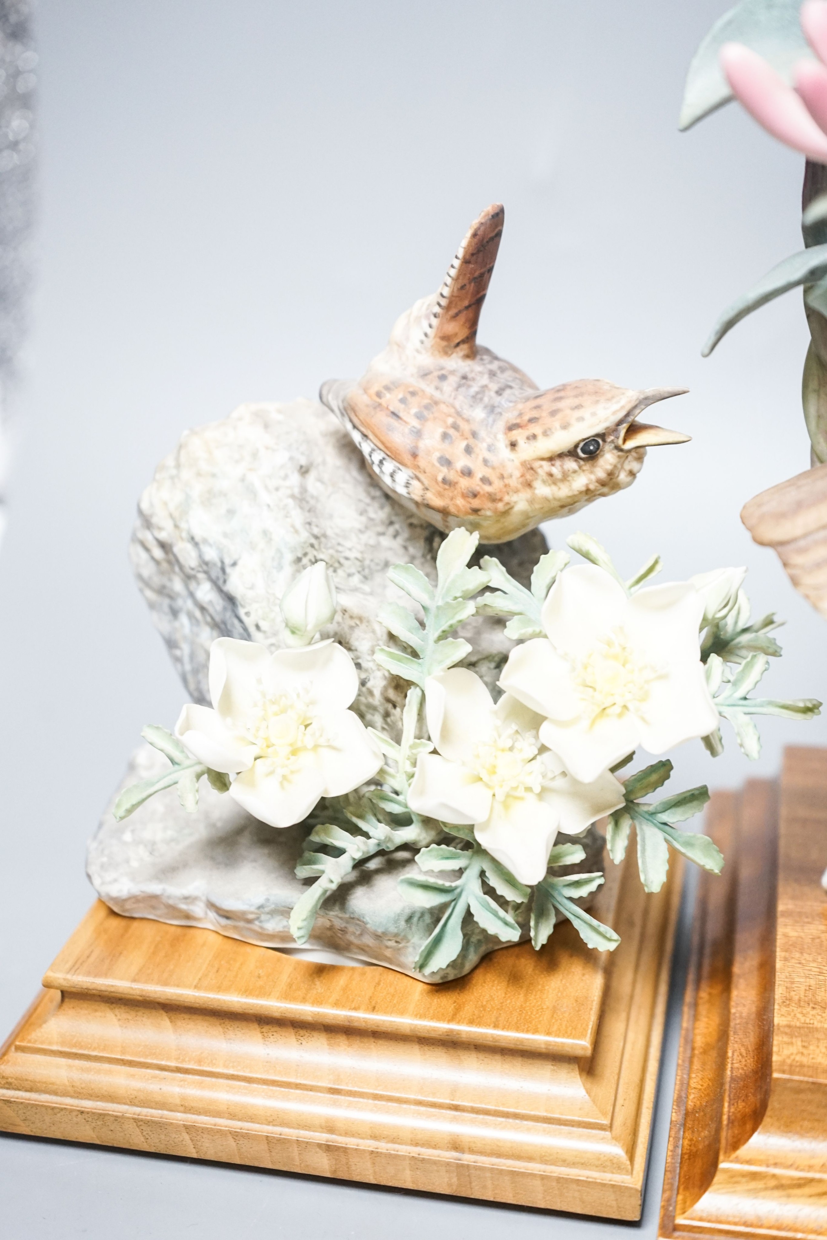 Three Royal Worcester porcelain groups of birds, modelled by Dorothy Doughty - ‘’Nightingale and Honeysuckle’’, “Wren and Burnet Rose’’, (a hen and a cock), each with certificates